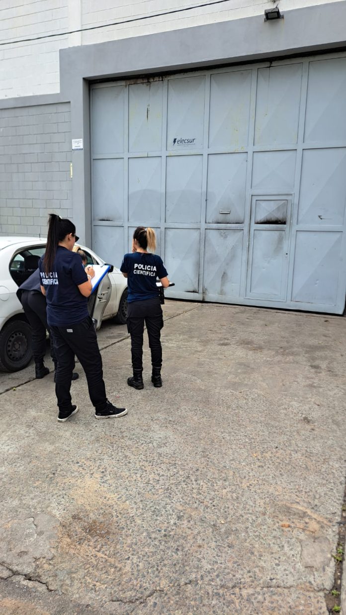 WhatsApp Image 2024-11-29 at 9.50.37 AM