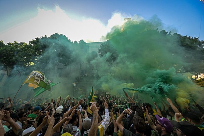 Se definió el nuevo formato de la Liga Profesional que jugará Aldosivi