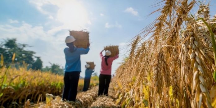 El calor del calentamiento global está matando a los jóvenes del mundo