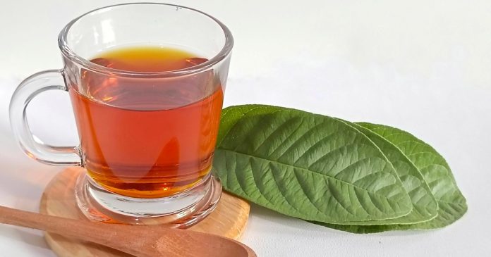 Cuáles son los beneficios de beber té de guayaba con canela todos los días