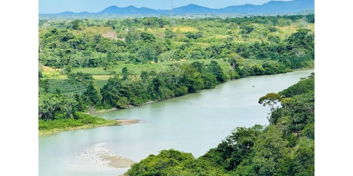 Proyectos de Urrá fortalecen la pesca sostenible y preservan la biodiversidad en el Alto Sinú
