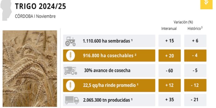 En Córdoba, se proyectan rendimientos dispares del trigo