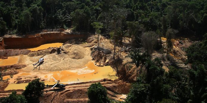 El crimen organizado se extiende a un tercio de las ciudades de la Amazonia brasileña, advirtió un informe
