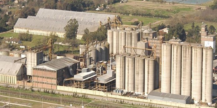 Molino Cañuelas logró un acuerdo para saldar el 89% de la deuda con acreedores y cierra la etapa de reestructuración