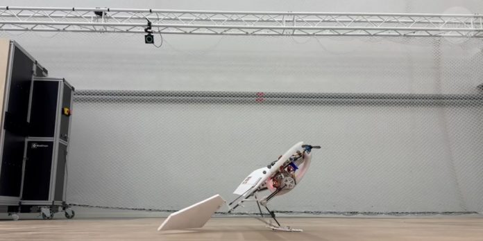 Desarrollaron un robot capaz de imitar los movimientos de un pájaro: camina, salta y vuela