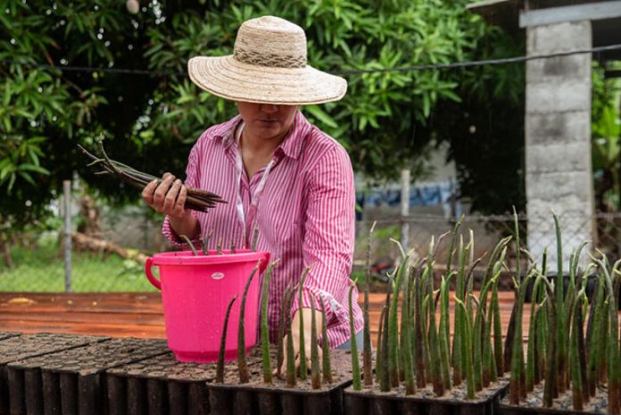 Naturaleza, clima y prosperidad: Liberando el poder de la acción integrada