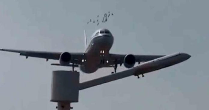Un avión impactó contra un grupo de pájaros y el video se hizo viral
