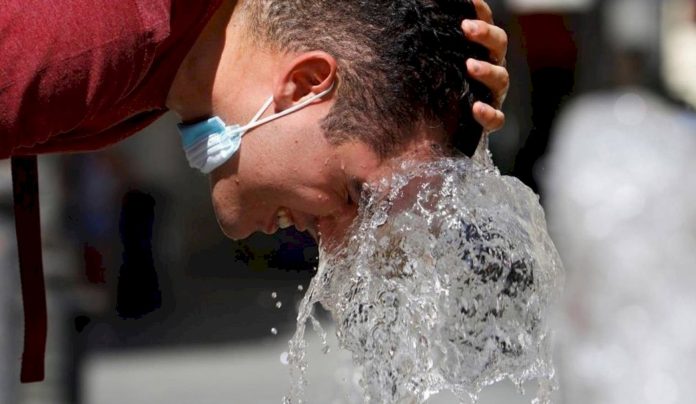 El verano traerá calor extremo a La Plata y varias regiones del país: ¿cómo protegerse? El verano traerá calor extremo a La Plata y varias regiones del país: ¿cómo protegerse?