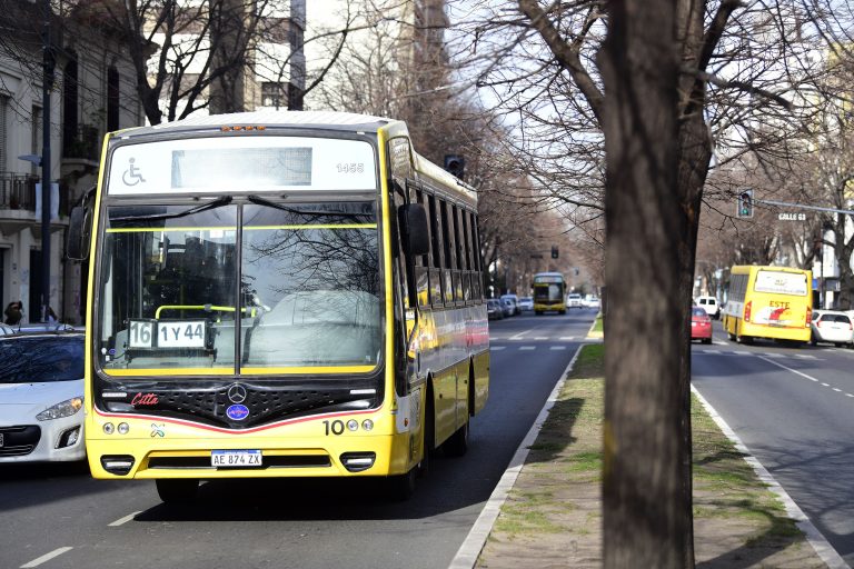 Transporte público en crisis: micros de La Plata circulan sin ventanillas por ataques vandálicos