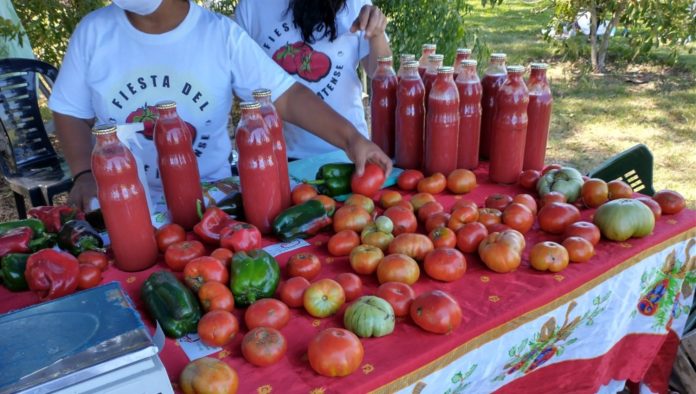 La Fiesta del Tomate Platense: todo sobre el evento que celebra la tradición agrícola local