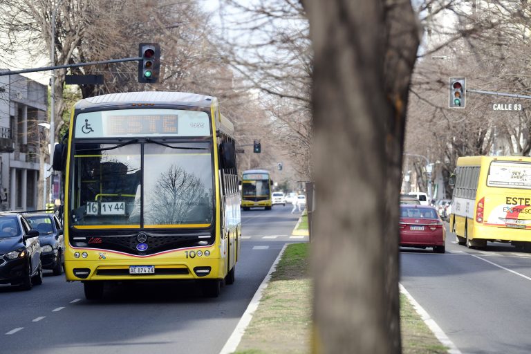 Cómo funcionarán los servicios en La Plata durante el feriado del 24 de marzo
