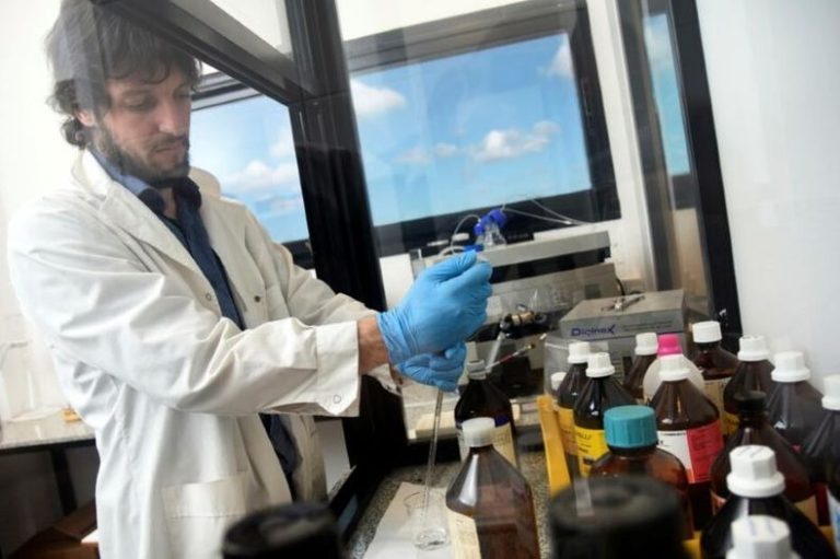 Descubrimiento en la UNLP: hallan compuestos con potencial para tratar la epilepsia