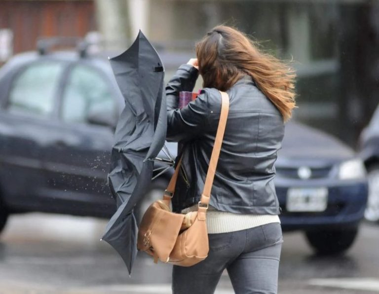 Alertan por fuertes vientos en La Plata y una semana con altas temperaturas