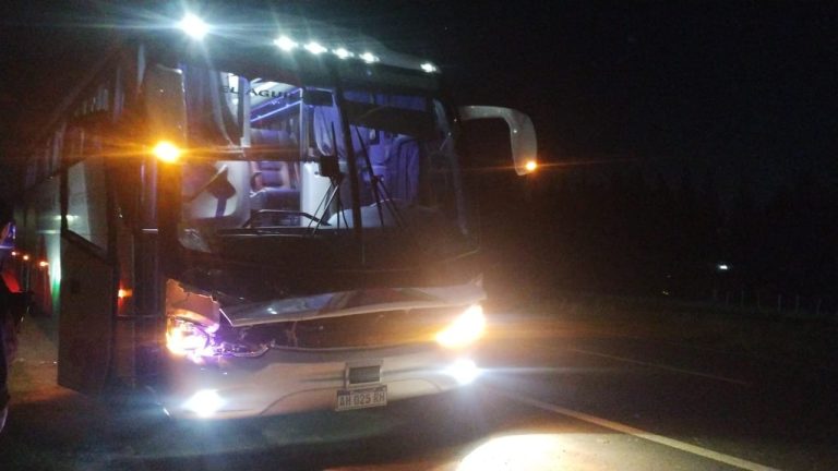 Tragedia en Ruta 2: un ómnibus atropelló y mató a una mujer en Lisandro Olmos