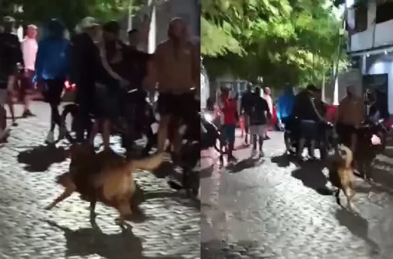 Brutal ataque de la facción de “Los Medina” en Berisso: dos heridos y cinco detenidos