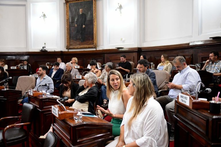 Rechazan interpelación al secretario de Seguridad de La Plata en una sesión marcada por gritos y críticas