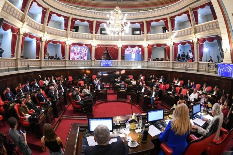 El Senado bonaerense aprobó la suspensión de las PASO y el proyecto avanza hacia Diputados