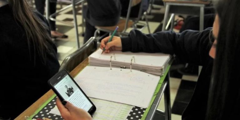 Avanza en Diputados el proyecto que limita el uso de pantallas en escuelas primarias