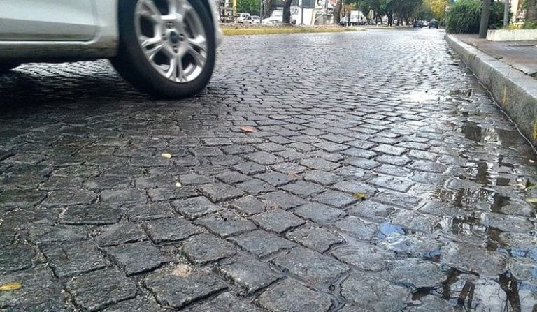 Proteccionistas apelarán el fallo que habilita la remoción de adoquines en plazas céntricas de La Plata