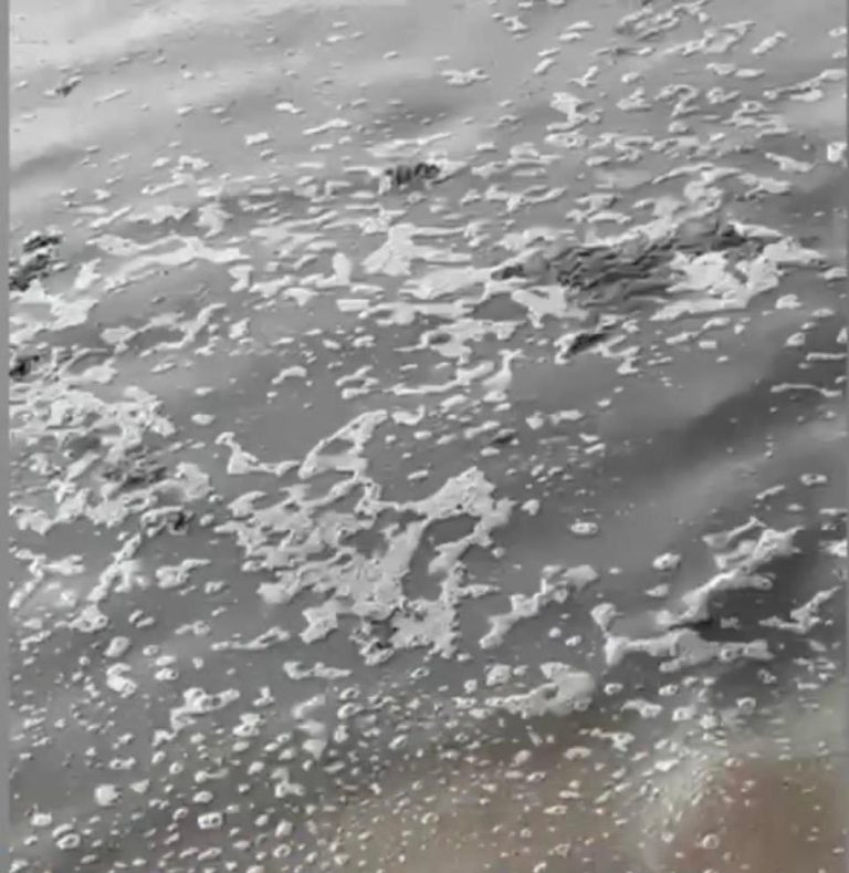 Denuncian contaminación cloacal en la ribera