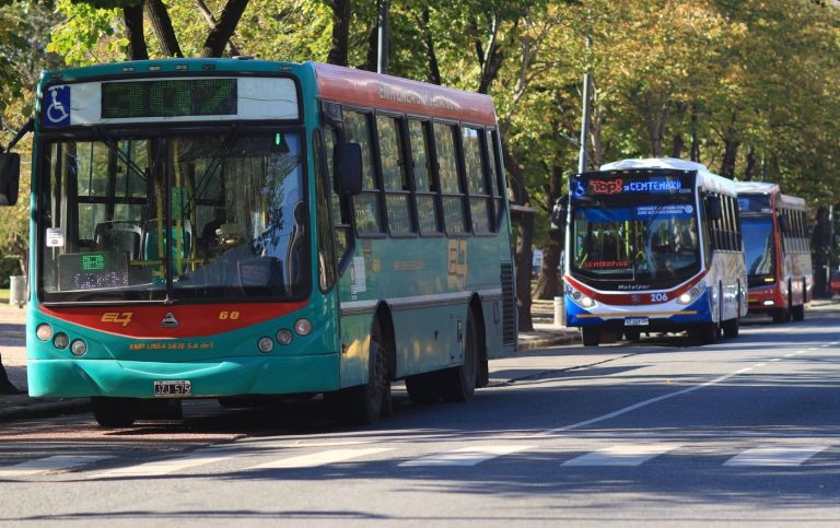 En julio sube el boleto de colectivo en La Plata, Berisso y Ensenada