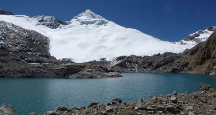 WhatsApp Image 2026-03-25 at 13.53.16