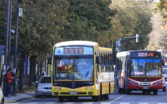 Protesta masiva de empresas de micros en La Plata