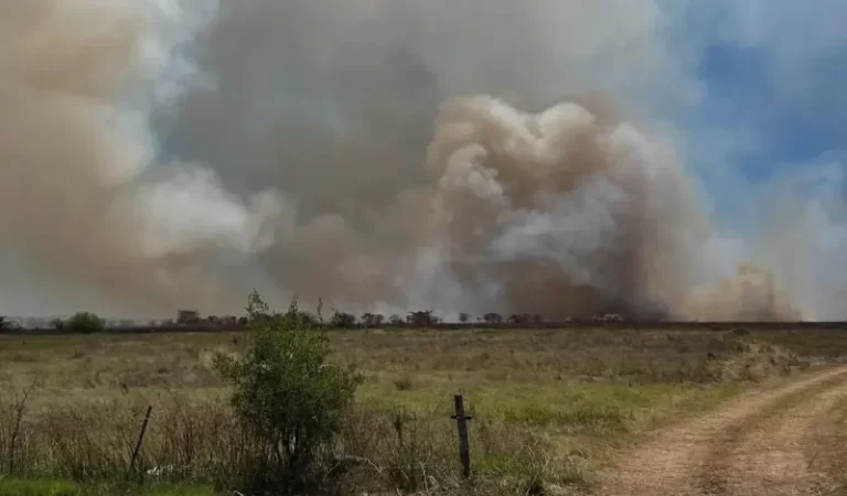 Incendio en la Reserva de Punta Lara: operativo en la Autopista La Plata-Buenos Aires