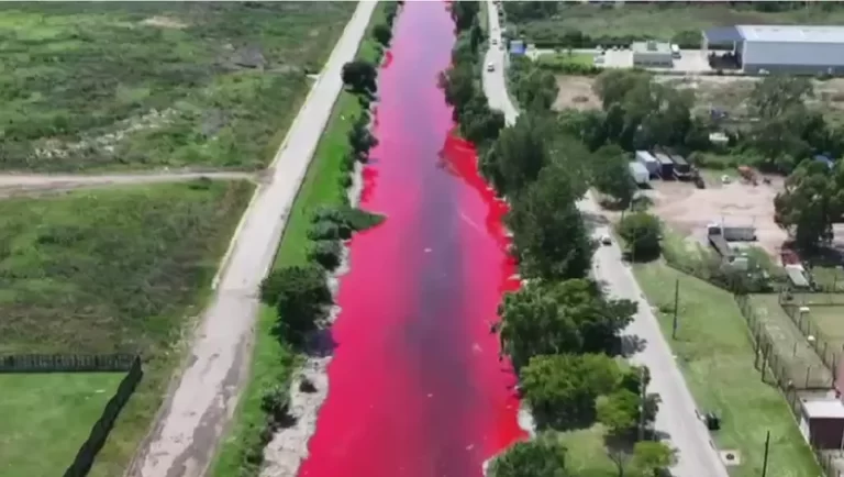 Preocupación en Avellaneda: el arroyo Sarandí amaneció teñido de rojo y vecinos denuncian contaminación