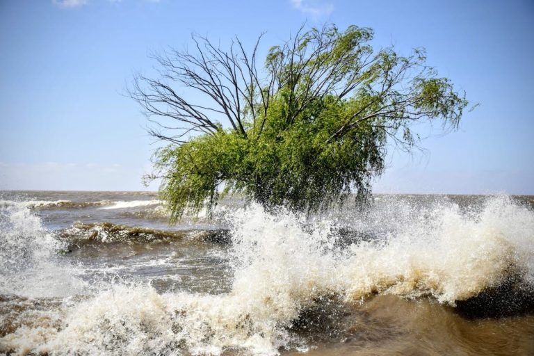 Alerta por nueva crecida del Río de la Plata: podrían verse afectadas las zonas ribereñas