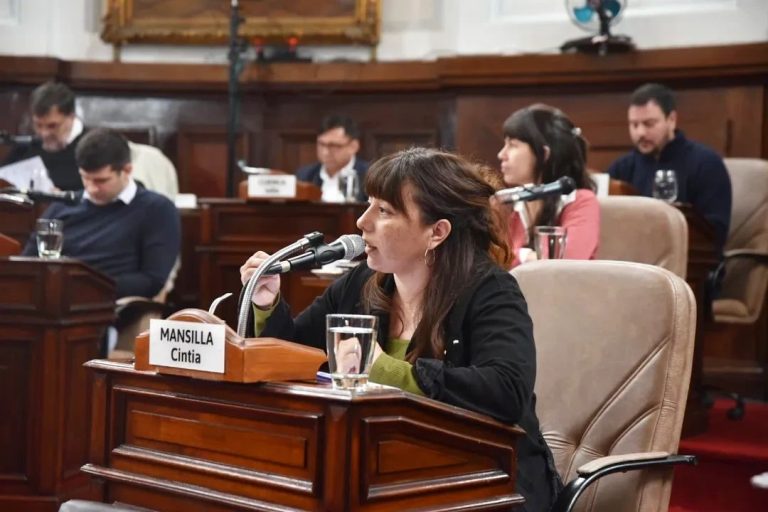 Cintia Mansilla: «El Gobierno se autogestiona su propio golpe de Estado»