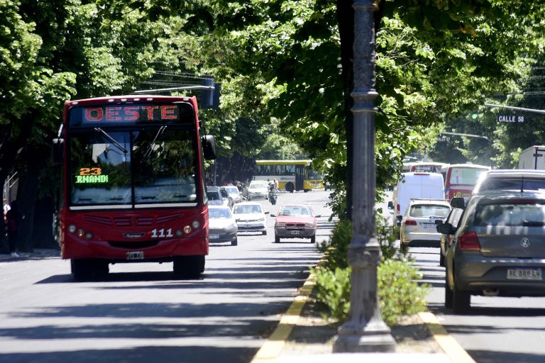Carnaval en La Plata: cómo funcionarán los servicios municipales durante el feriado
