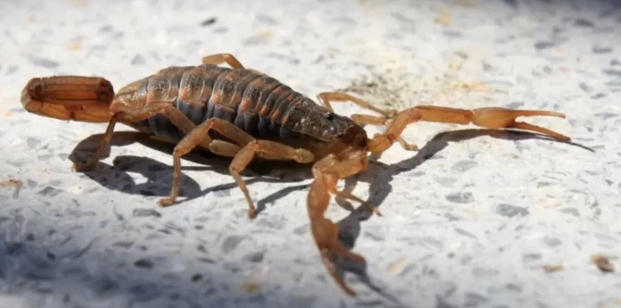 1542311021622jpgx13y71width1474height737rotate0scalex1scaley1ow1500oh873cw1920ch950