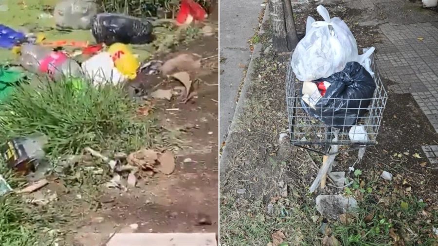 Vecinos denuncian basura acumulada y presencia de ratas en Tolosa ...
