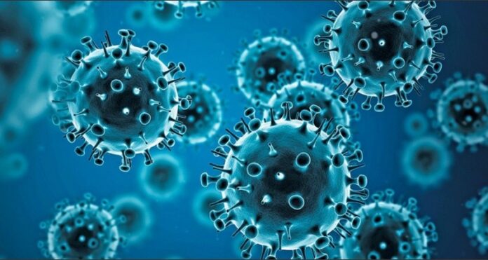 Nueva-variante-del-virus-de-la-influenza-H3N2
